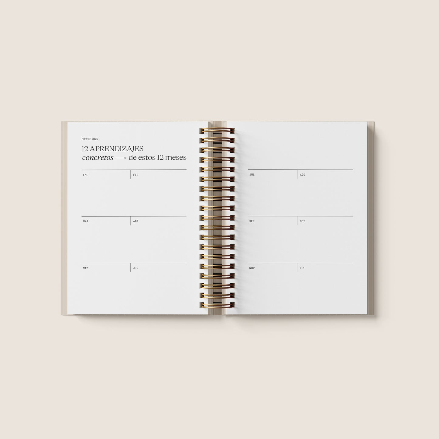 Agenda Sheboss - Versión Planner