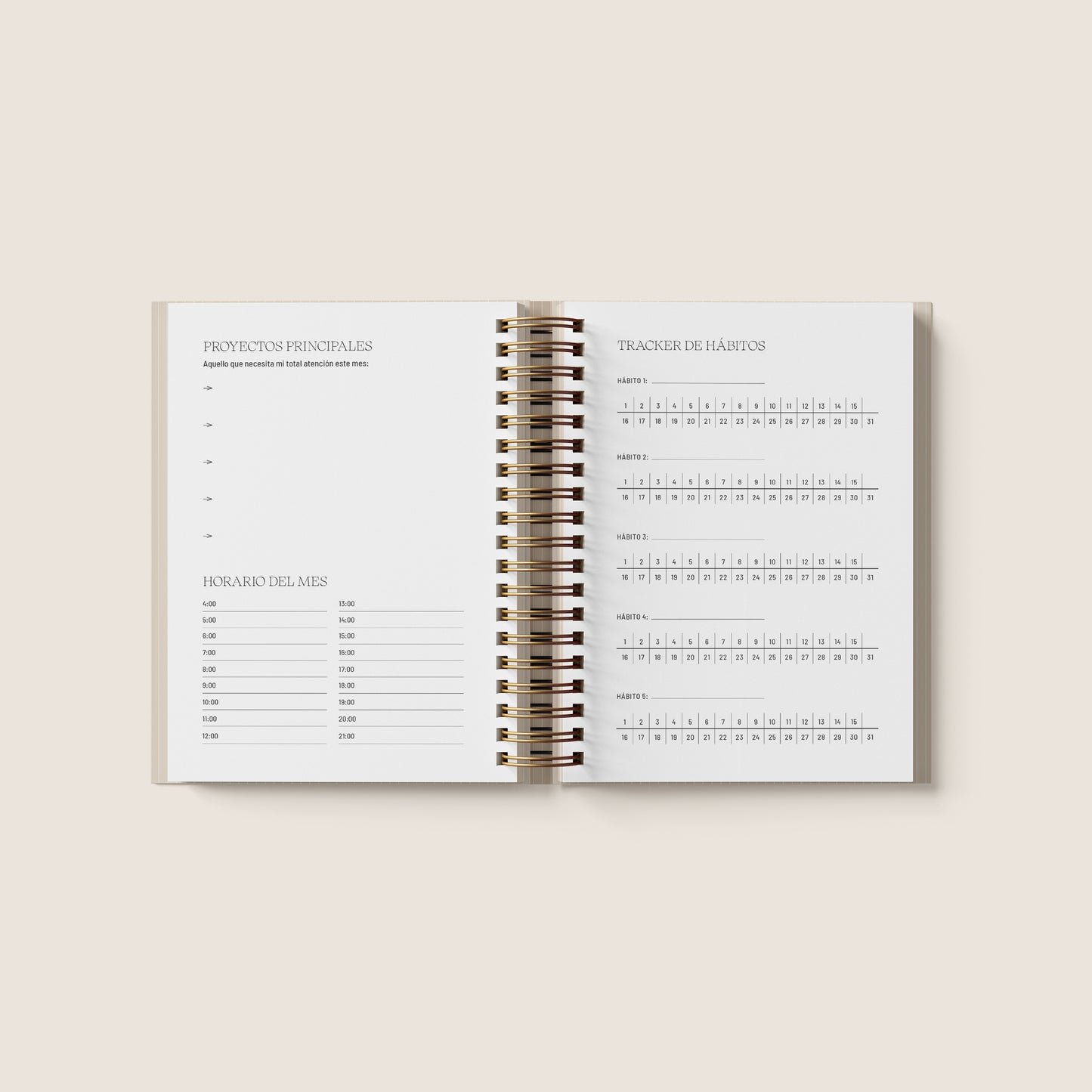 Agenda Sheboss - Versión Planner